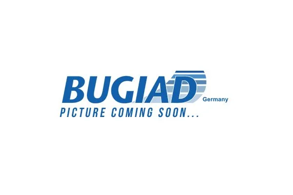 Kompresoriaus padavimo žarna BUGIAD 82412