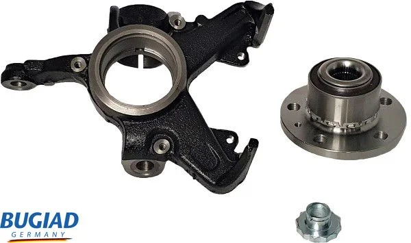 Steering Knuckle, wheel suspension BUGIAD BSP20022PROKIT