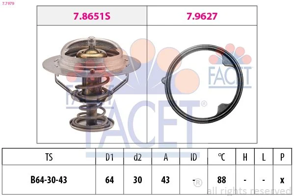 Termostatas, aušinimo skystis FACET 7.7979