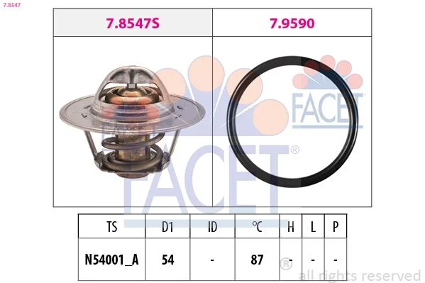 Termostatas, aušinimo skystis FACET 7.8547