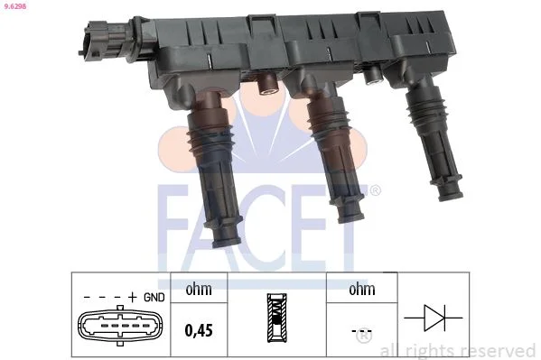 Ritė, uždegimas FACET 9.6298