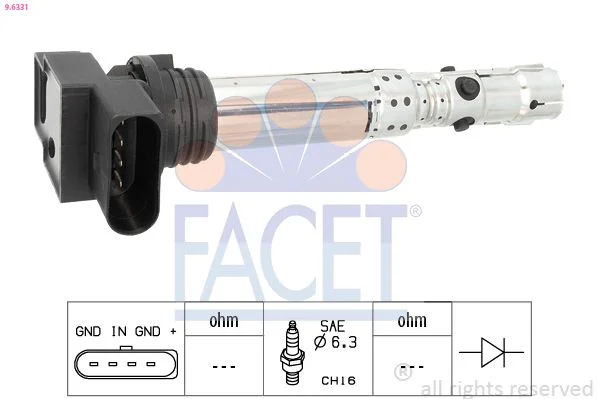 Ritė, uždegimas facet 9.6331