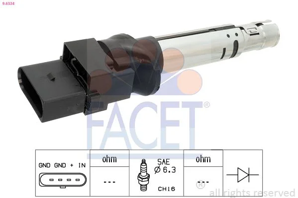 Ritė, uždegimas facet 9.6334