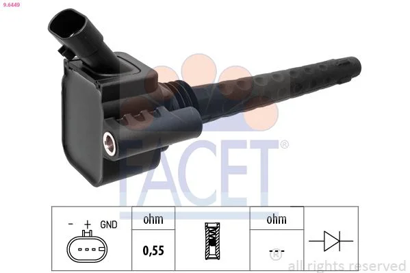 Ritė, uždegimas facet 9.6449