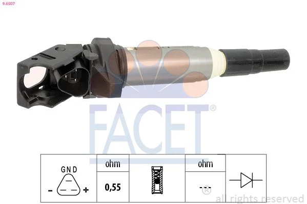 Ritė, uždegimas facet 9.6507