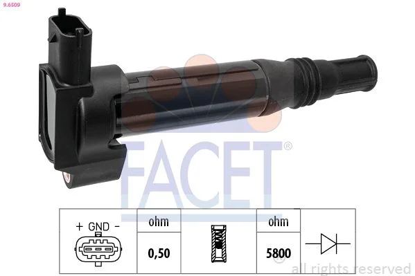 Ritė, uždegimas facet 9.6509