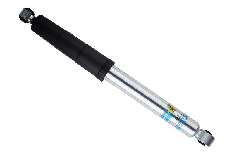 Amortizatorius BILSTEIN 24-293082