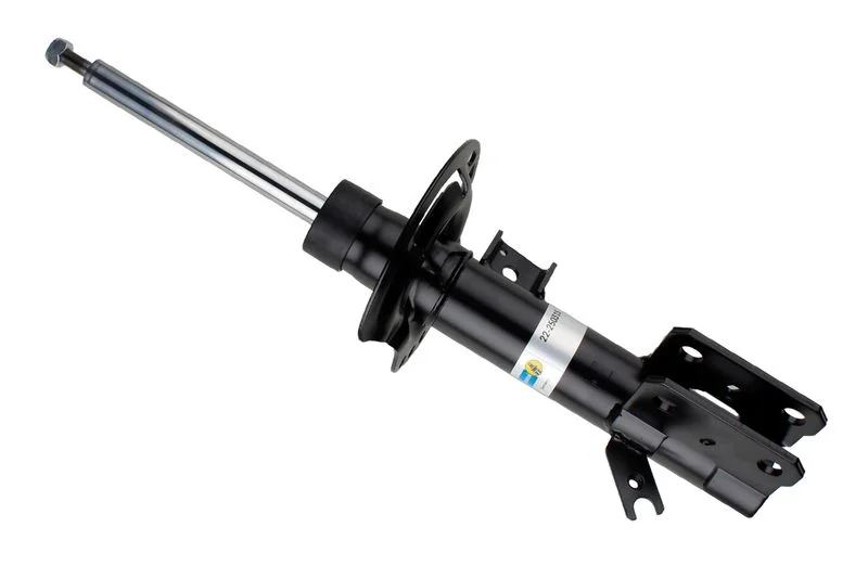 Amortizatorius BILSTEIN 22-250315