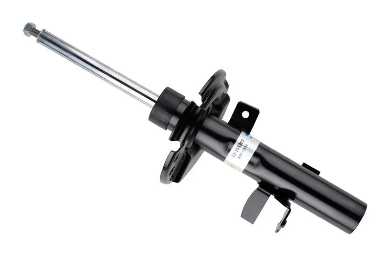 Amortizatorius BILSTEIN 22-255969