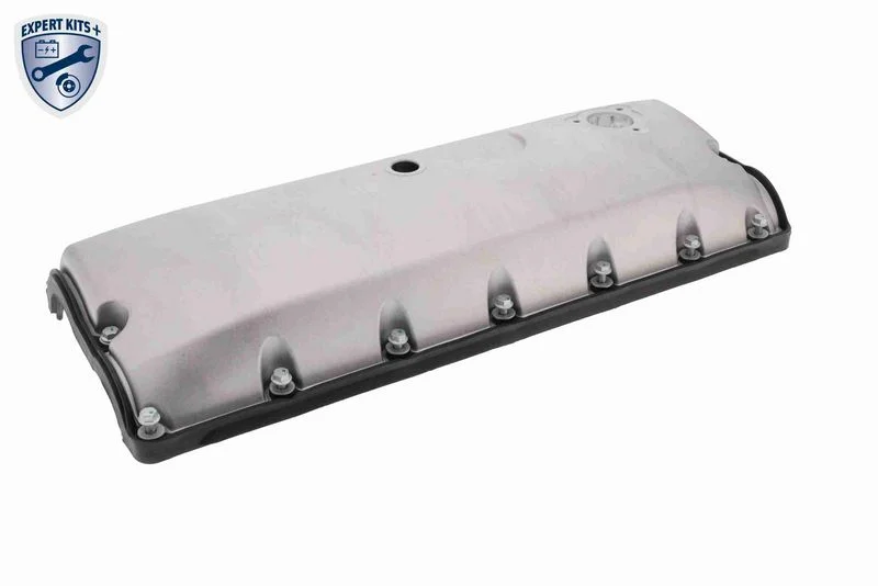 Svirties dangtelis VAI V10-7464
