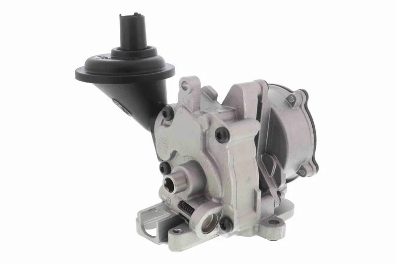 Alyvos siurblys VAICO V10-8003