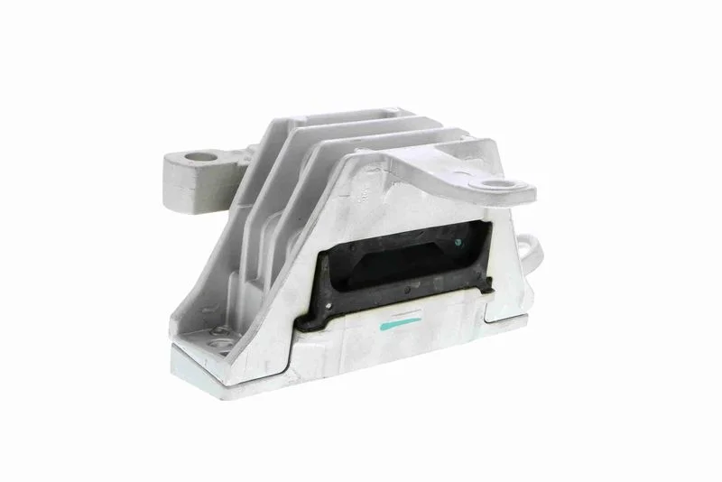 Variklio montavimas VAICO V40-1068