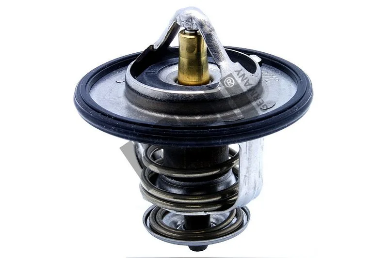 Termostatas, aušinimo skystis hepu TM1315