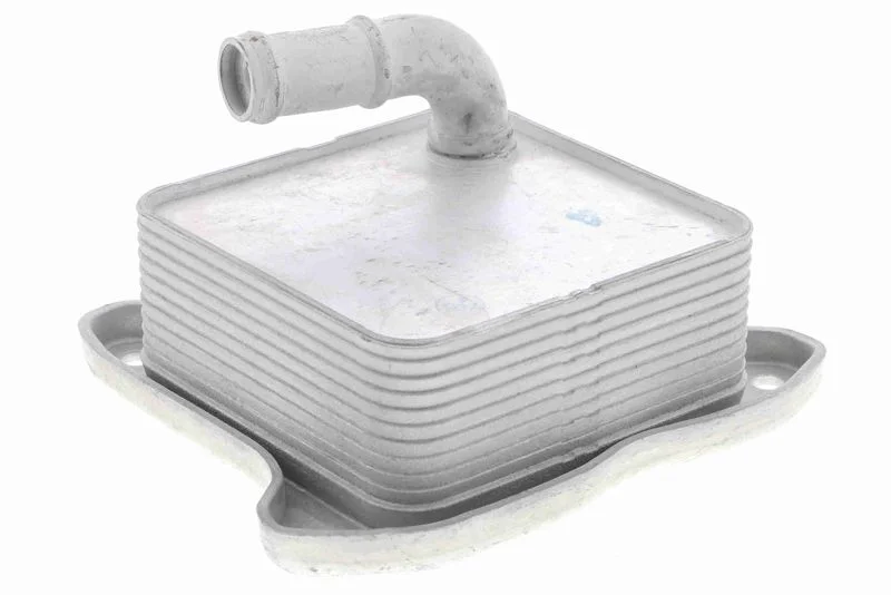 Oil Cooler, engine oil VEMO V15-60-6062