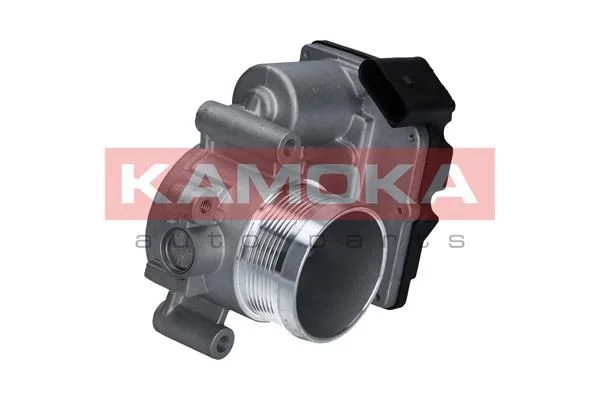 Throttle Body KAMOKA 112012