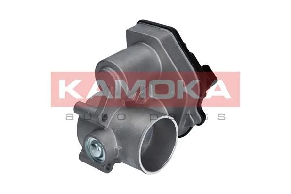 Throttle Body KAMOKA 112024
