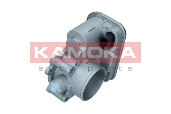 Throttle Body KAMOKA 112050