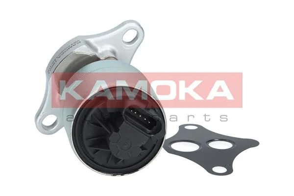 EGR ventil KAMOKA 19001
