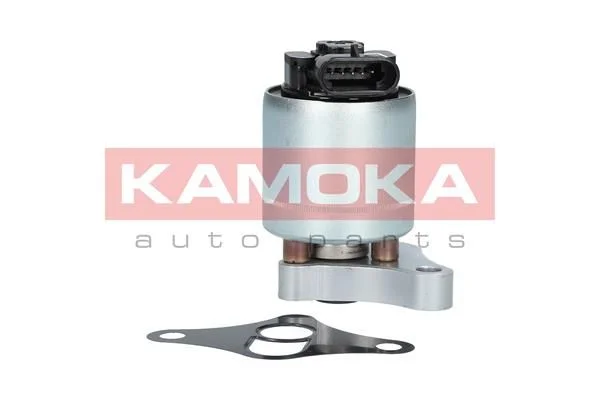 EGR Valve KAMOKA 19002
