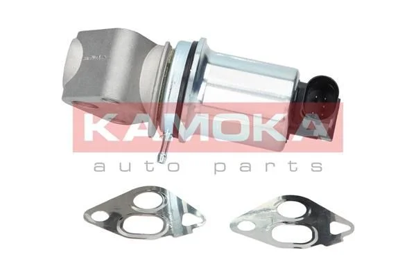EGR ventil KAMOKA 19006