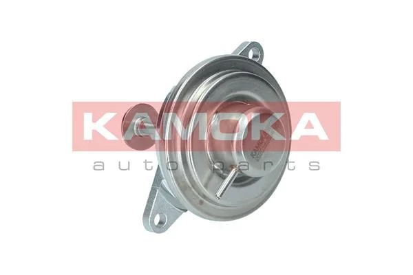 EGR ventil KAMOKA 19012