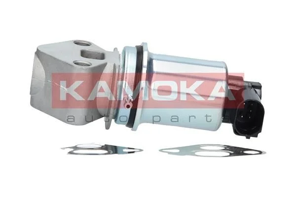 EGR ventil KAMOKA 19017