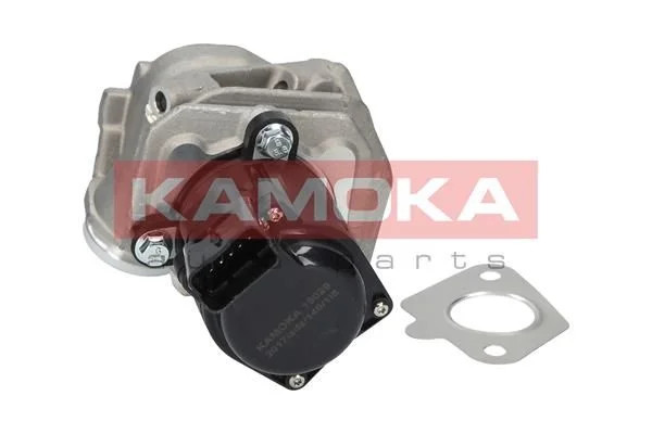 EGR ventil KAMOKA 19029