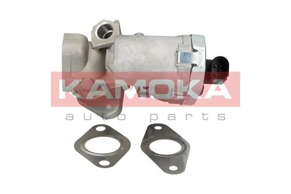 EGR ventil KAMOKA 19030