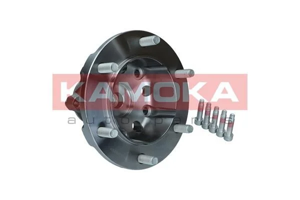 Wheel Bearing Kit KAMOKA 5500255