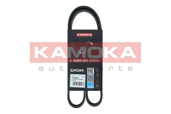 V-ribbed Belt KAMOKA 7016036