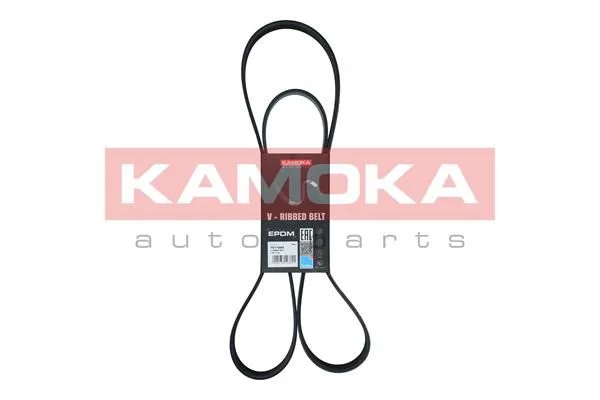 V-ribbed Belt KAMOKA 7017025