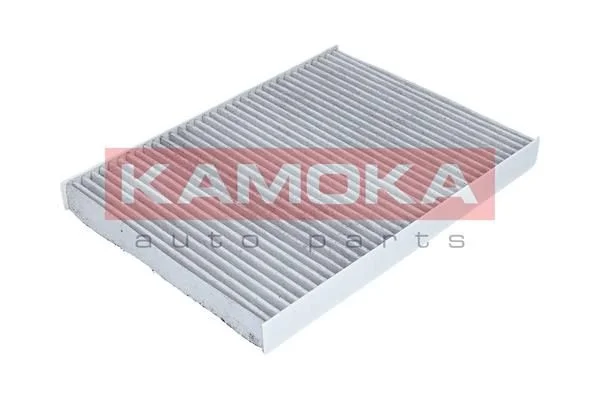 Filtras, salono oras KAMOKA F500201