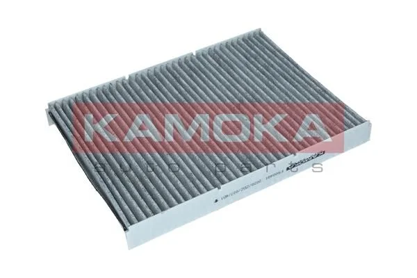 Filtras, salono oras KAMOKA F500401