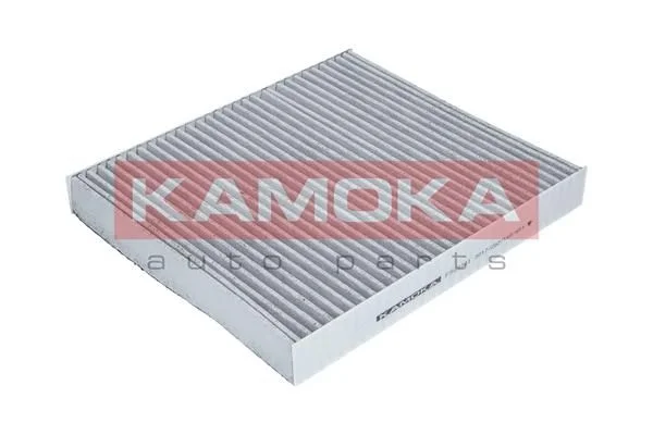 Filtras, salono oras KAMOKA F503301