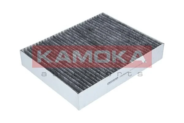 Filtras, salono oras KAMOKA F509501