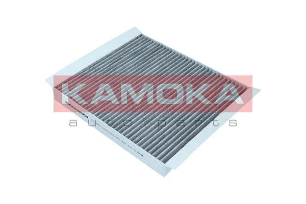 Filtras, salono oras KAMOKA F519401
