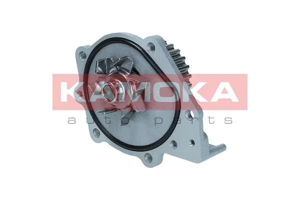 Water Pump, engine cooling KAMOKA T0174
