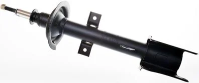 Amortizatorius DENCKERMANN DSB189G