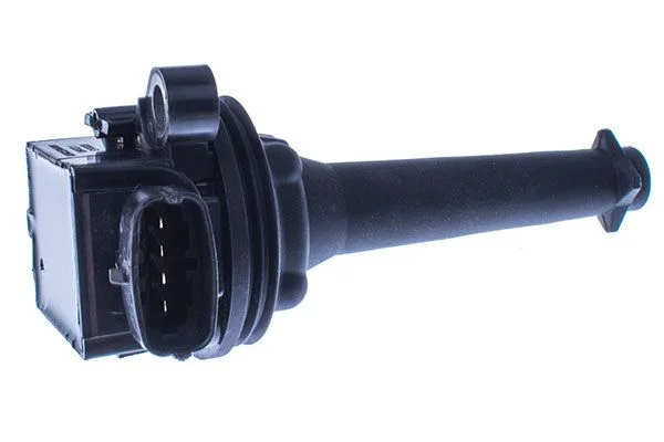 Ritė, uždegimas DENCKERMANN E100028