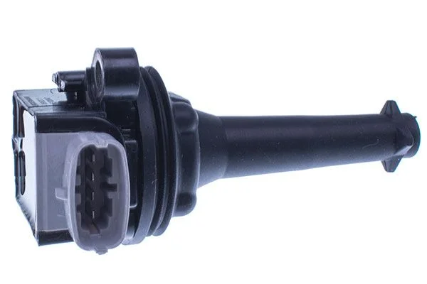 Ritė, uždegimas DENCKERMANN E100047