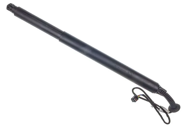 Galinių durų elektros variklis denckermann G100014