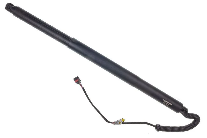 Galinių durų elektros variklis denckermann G100040