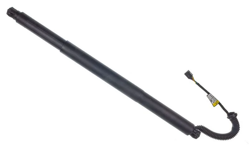 Galinių durų elektros variklis denckermann G100044