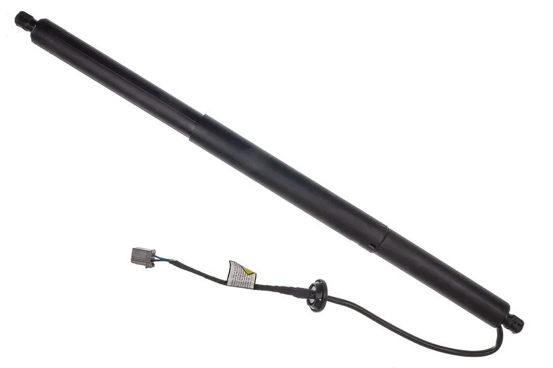 Galinių durų elektros variklis DENCKERMANN ELEKTRONIKA CEWKI CZUJNIKI G100129