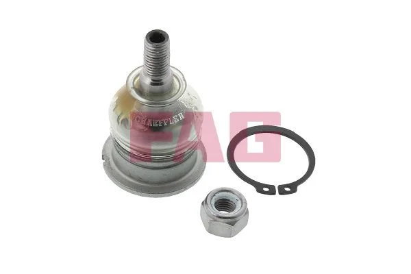Šarnyras / girgždukas FAG 825 0037 10