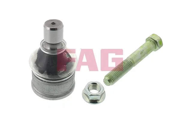 Šarnyras / girgždukas FAG 825 0246 10