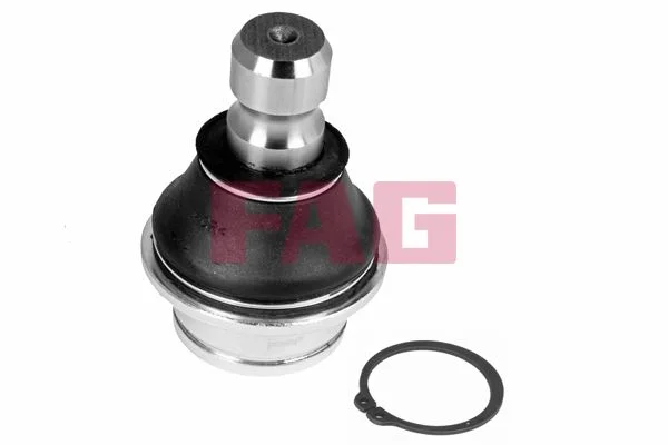 Šarnyras / girgždukas fag 825 0329 10