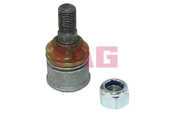 Šarnyras / girgždukas FAG 825038610