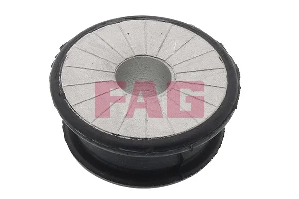 Montavimas, atraminis rėmas / variklio laikiklis FAG 829 0551 10