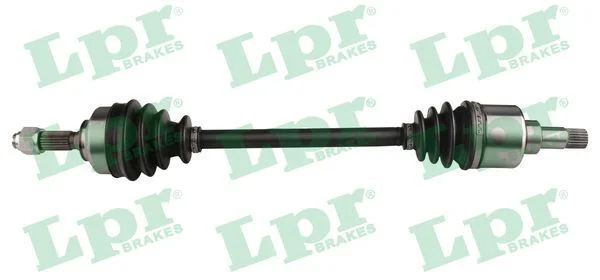 Pusašis LPR DS16213